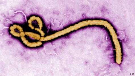 Ebola (2)