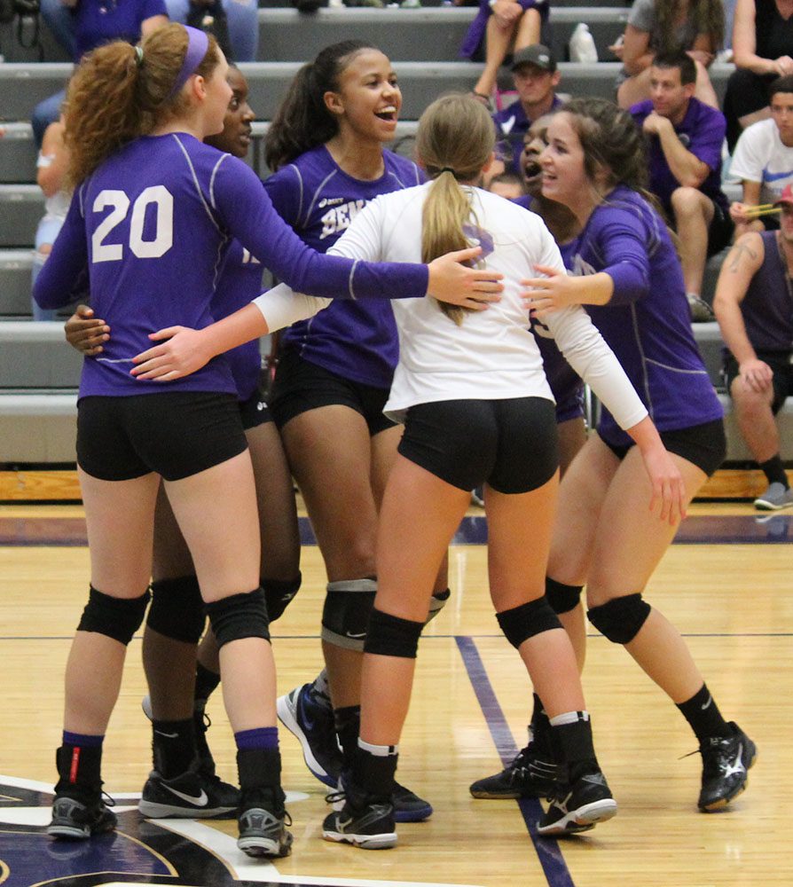 Gallery: Volleyball at Brownsburg