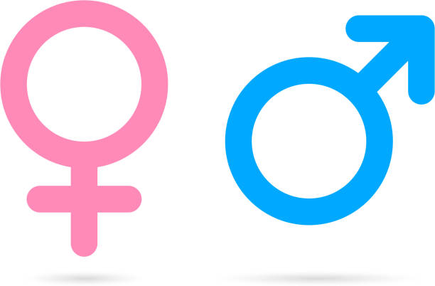 male female icon set