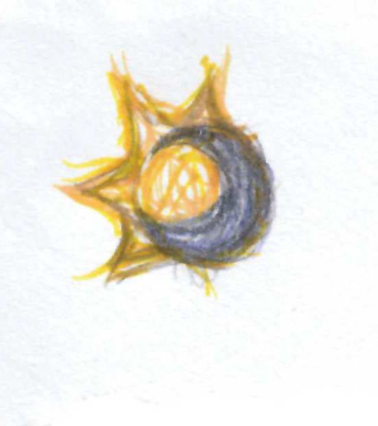 Our First Solar Eclipse Drawing by D.C. Thomas | Saatchi Art