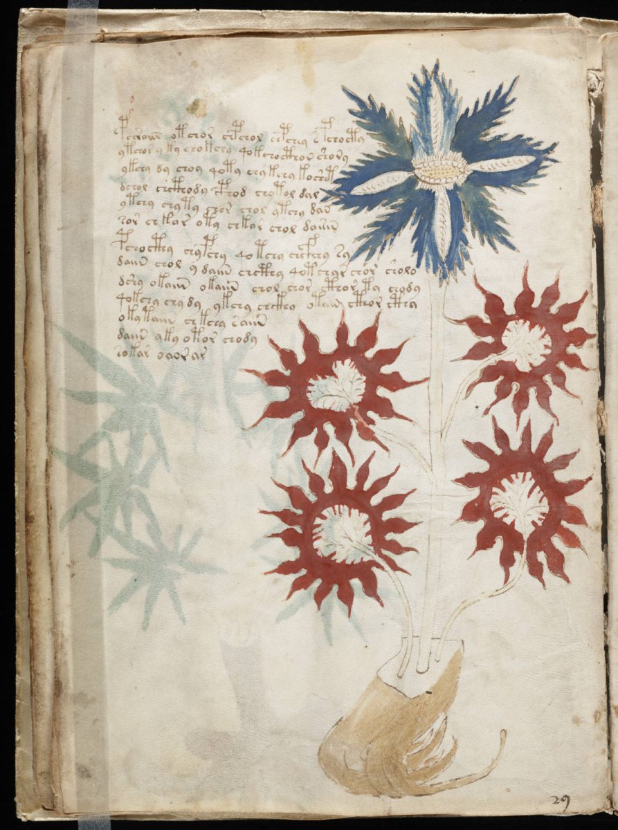 The mystery of the Voynich Manuscript