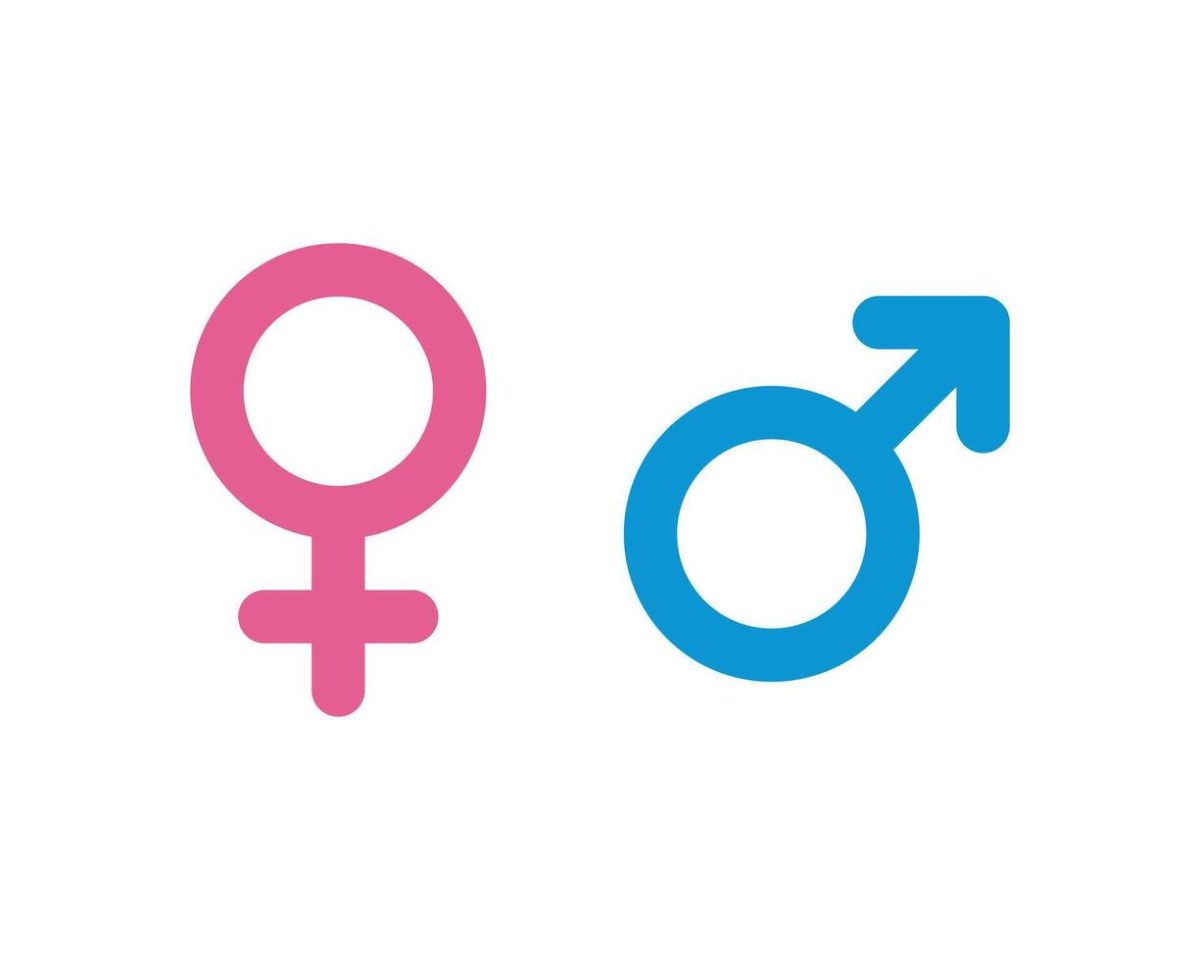 No matter your gender, you can do anything