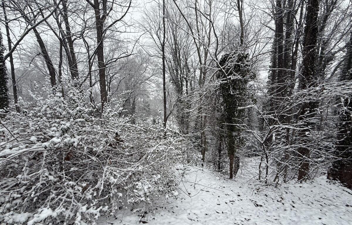 Surviving the winter grind