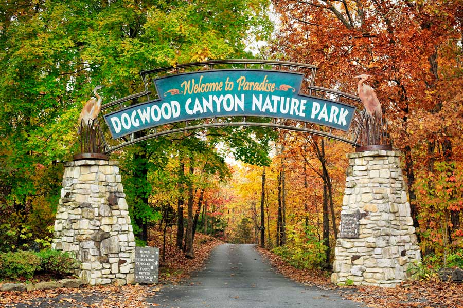 If you like nature, try Dogwood Canyon Nature Park